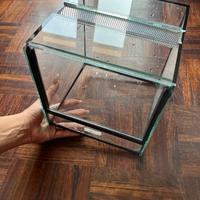 Teca rettili terrario