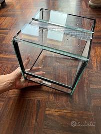 Teca rettili terrario