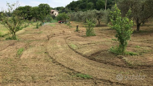 Terreno agricolo