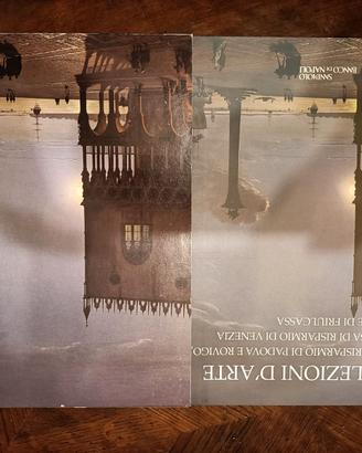 Libro di collezione d' arte