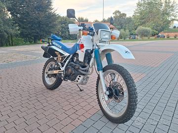 Honda XL 600 RM