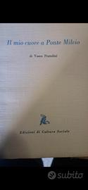 IL MIO CUORE A PONTE MILVIO