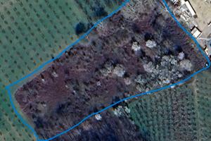 Terreno edificabile artigianale