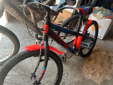 Bicicletta da ragazzo 6/12 anni