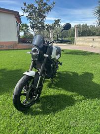 Benelli leoncino 125