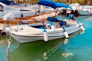 Boston Whaler 21