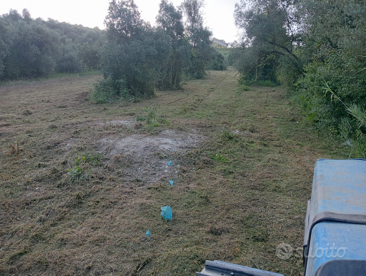 Terreno agricolo - Vista 2