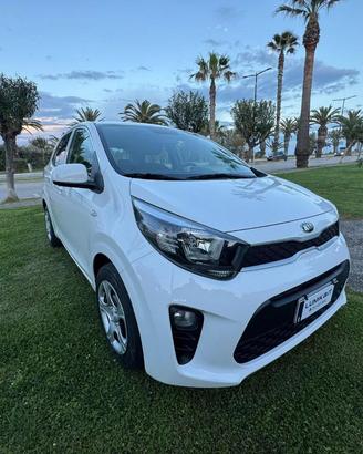 Kia Picanto 5 Porte Picanto 1.0 mpi Active my18