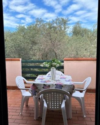 Sant'andrea Apostolo dello ionio in Villaggio