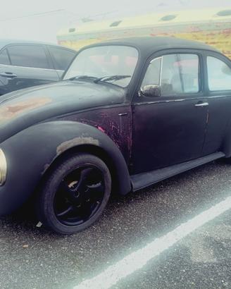 maggiolino rat