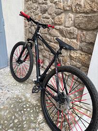 Bicicletta
