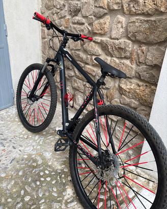 Bicicletta