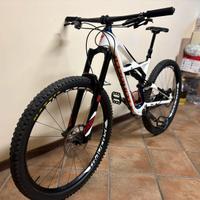 Specialized Enduro Carbon Expert