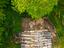 Immagine 27