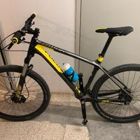 bici Mountain bike  focus Raven carbonio