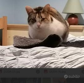 DUDA sono una coccolona