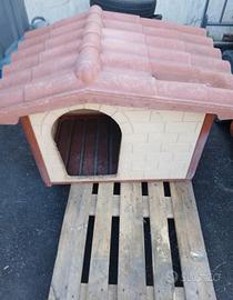 casetta per cani