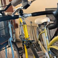 Bici da corsa vintage