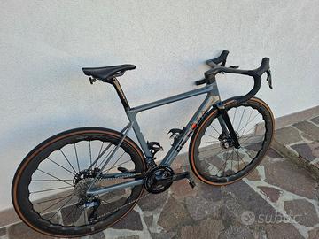 de rosa merak