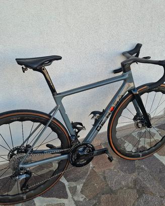de rosa merak