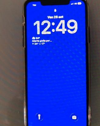 Iphone 11 Pro Max 64 gb  Grafite