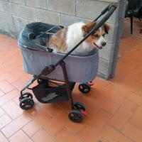 Carrozzina per cani taglia medio