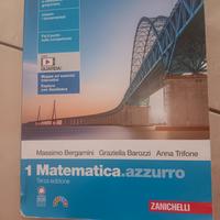libro  1 matematica azzurro