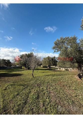 Terreno Residenziale Ostuni [RIF.AD2416VRG]