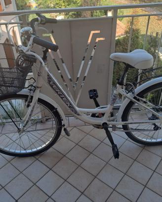bicicletta