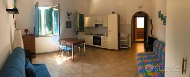 San Vincenzo: Monolocale in Centro