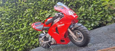 minimoto polini 910