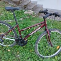 Bicicletta Rockride 5.0