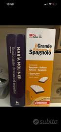 Dizionario monolingue e bilingue spagnolo