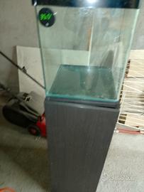 acquario 