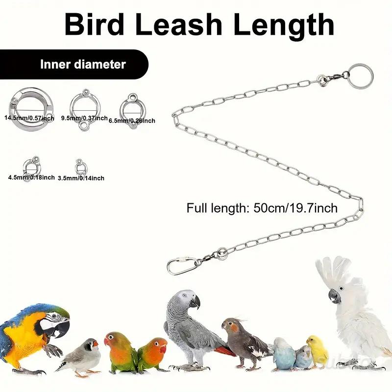 Catena Per Addestramento Pappagalli - Anello Da Caviglia In Acciaio Inossidabile - Foto 6