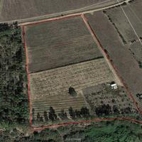 Terreno agricolo 16000 mq