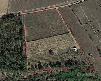 Terreno agricolo 16000 mq