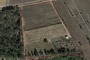 Terreno agricolo 16000 mq