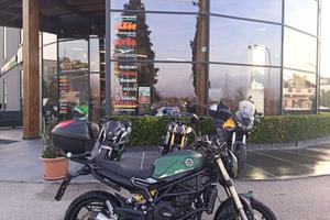 Benelli Leoncino 800 FA61185