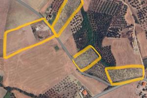 Vigneti e seminativo