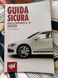 Guida Sicura
