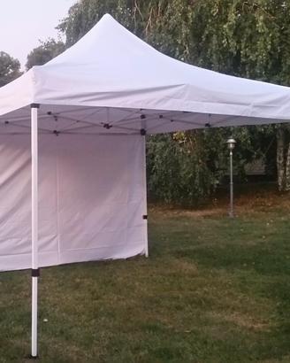 Gazebo Profess. 3x3 con 4 teli laterali e 4 pesi