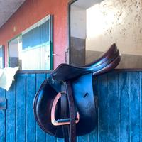 Sella equipe expression 17