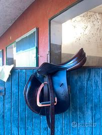 Sella equipe expression 17