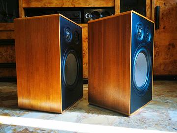 Diffusori Canton GLE 70|Casse Quinto 530|ESB Proac