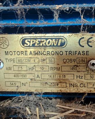 Motore Asincrono Trifase 