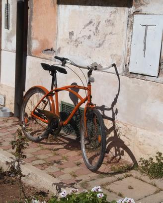 bici  americana 