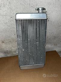 Radiatore KART 125