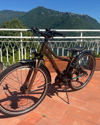 Winora city bike ragazzo 35 taglia 21 velocitàlia