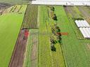 terreno-agricolo-capaccio-rif-190624d